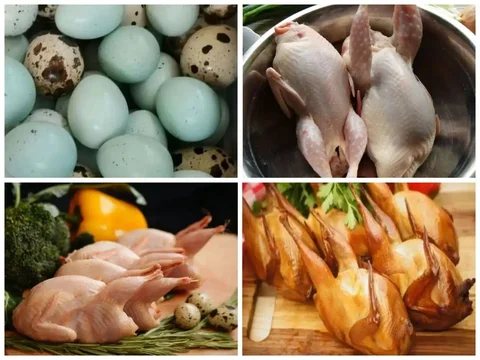 Продажа мяса перепелов и яиц - частное объявление в Саратов