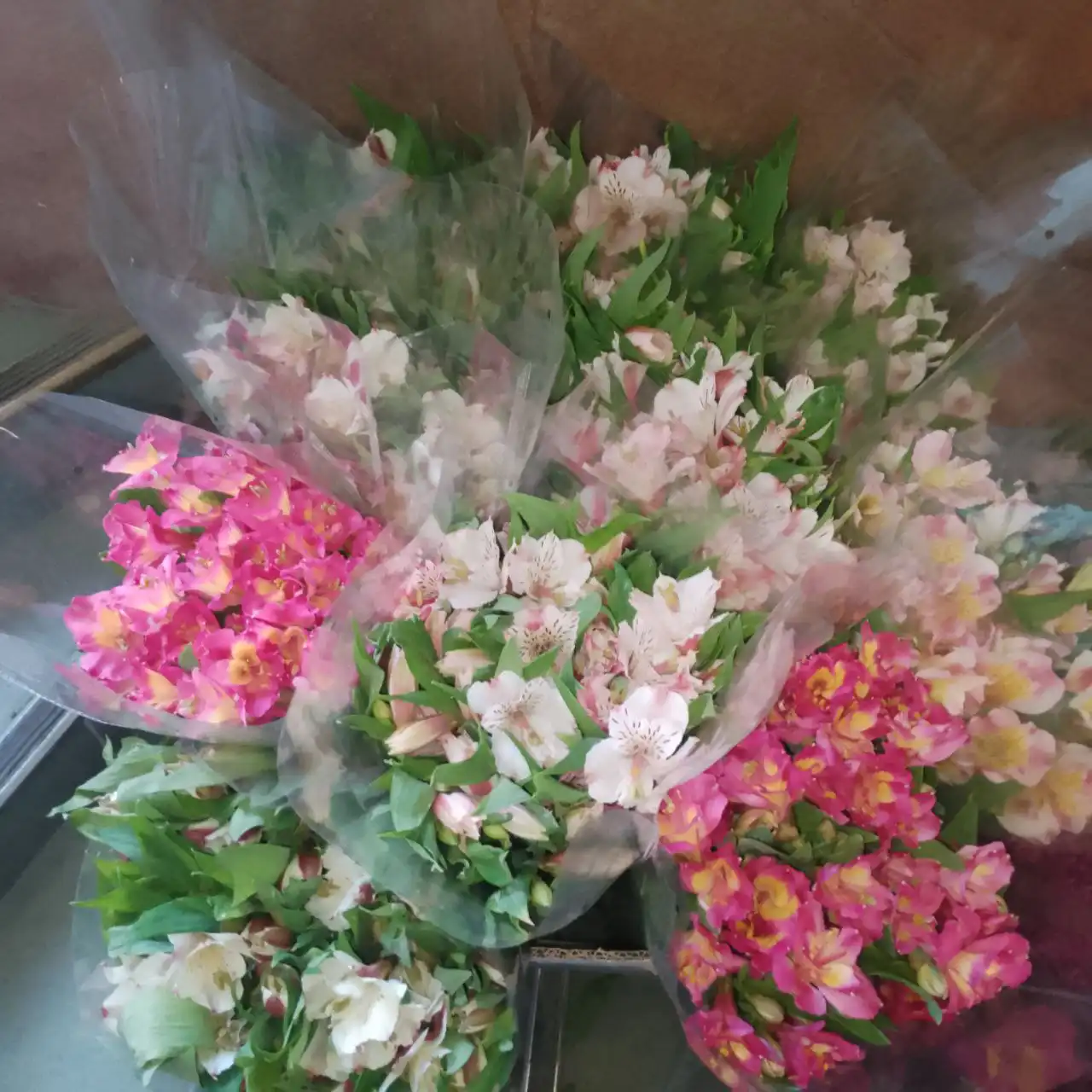 Цветы оптом в Саратовской области