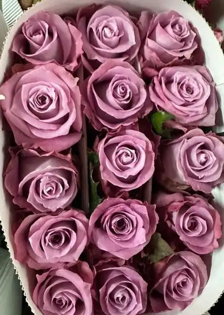 Цветы оптом в Саратовской области