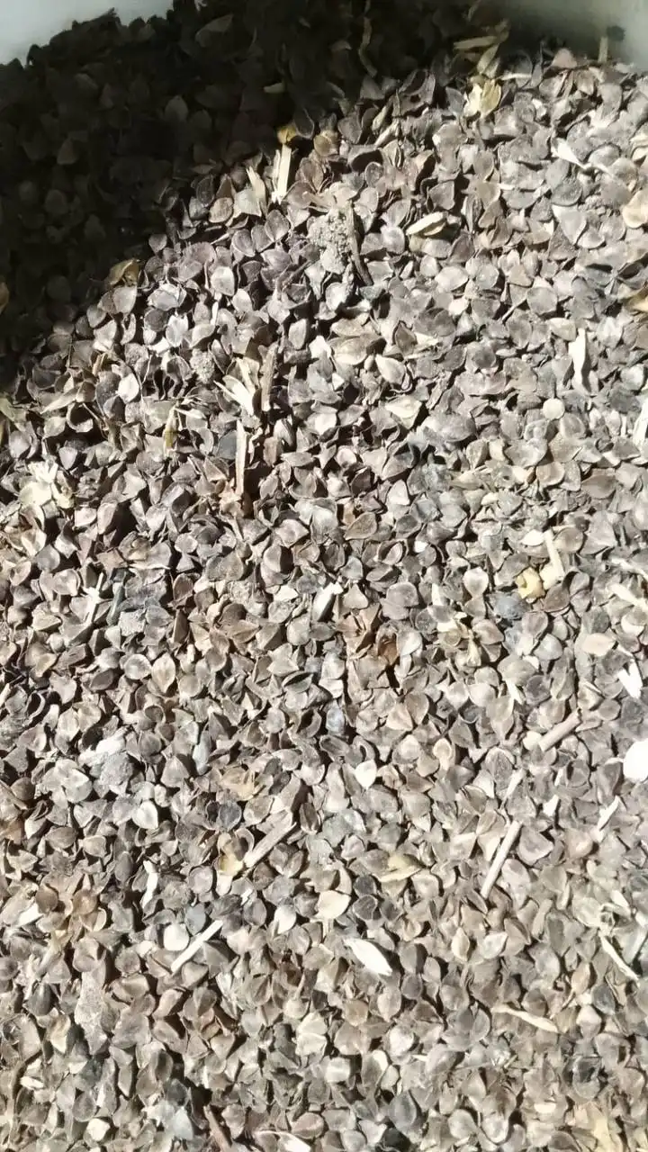 Продажа отходов кукурузы и гречихи