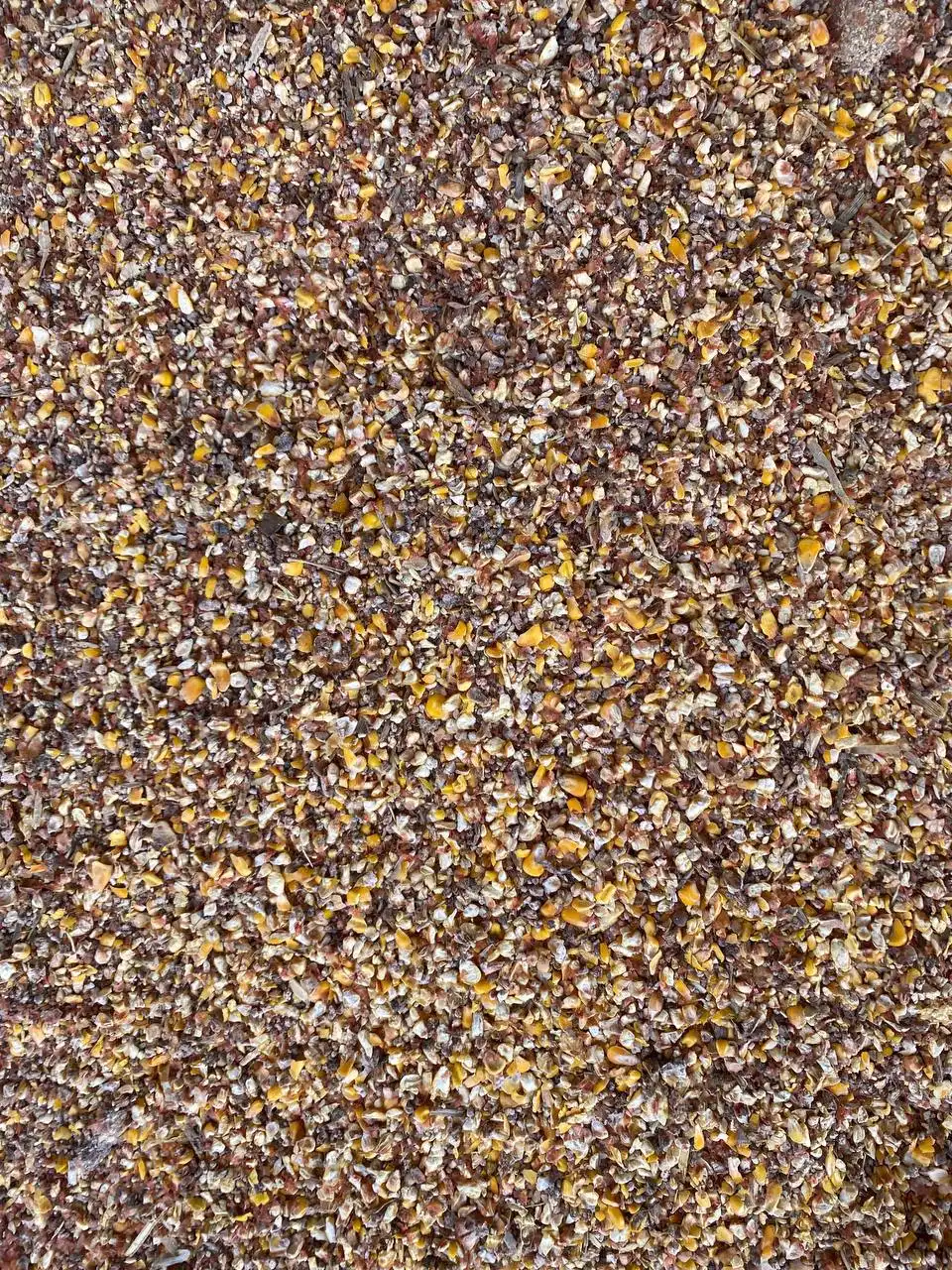 Продажа отходов кукурузы и гречихи