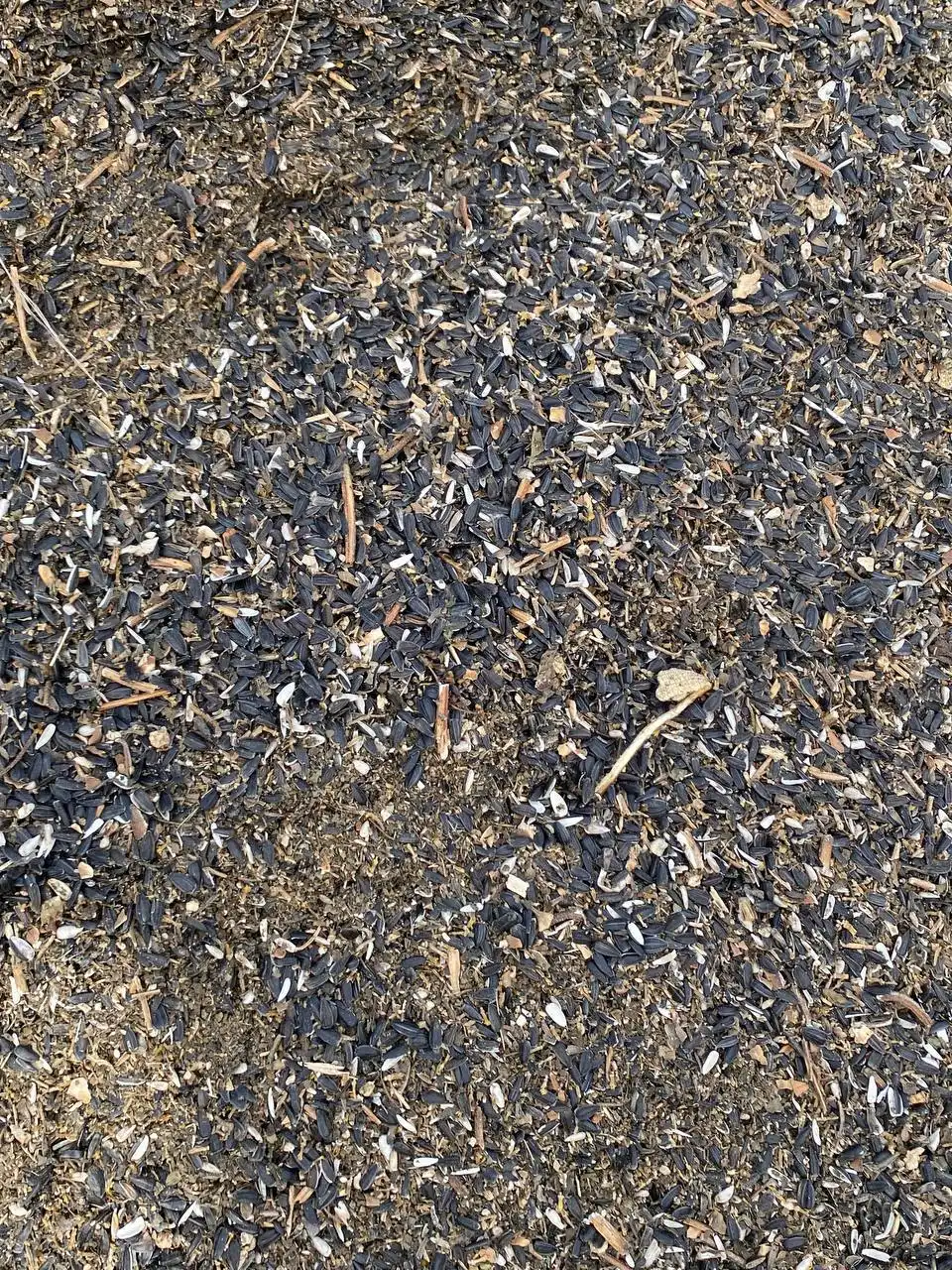 Продажа отходов кукурузы и гречихи