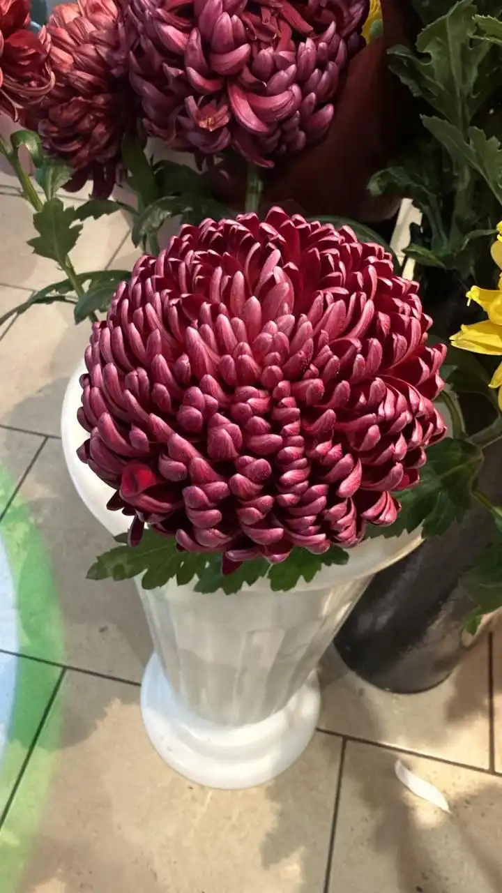 Оптовая продажа цветов в Саратове