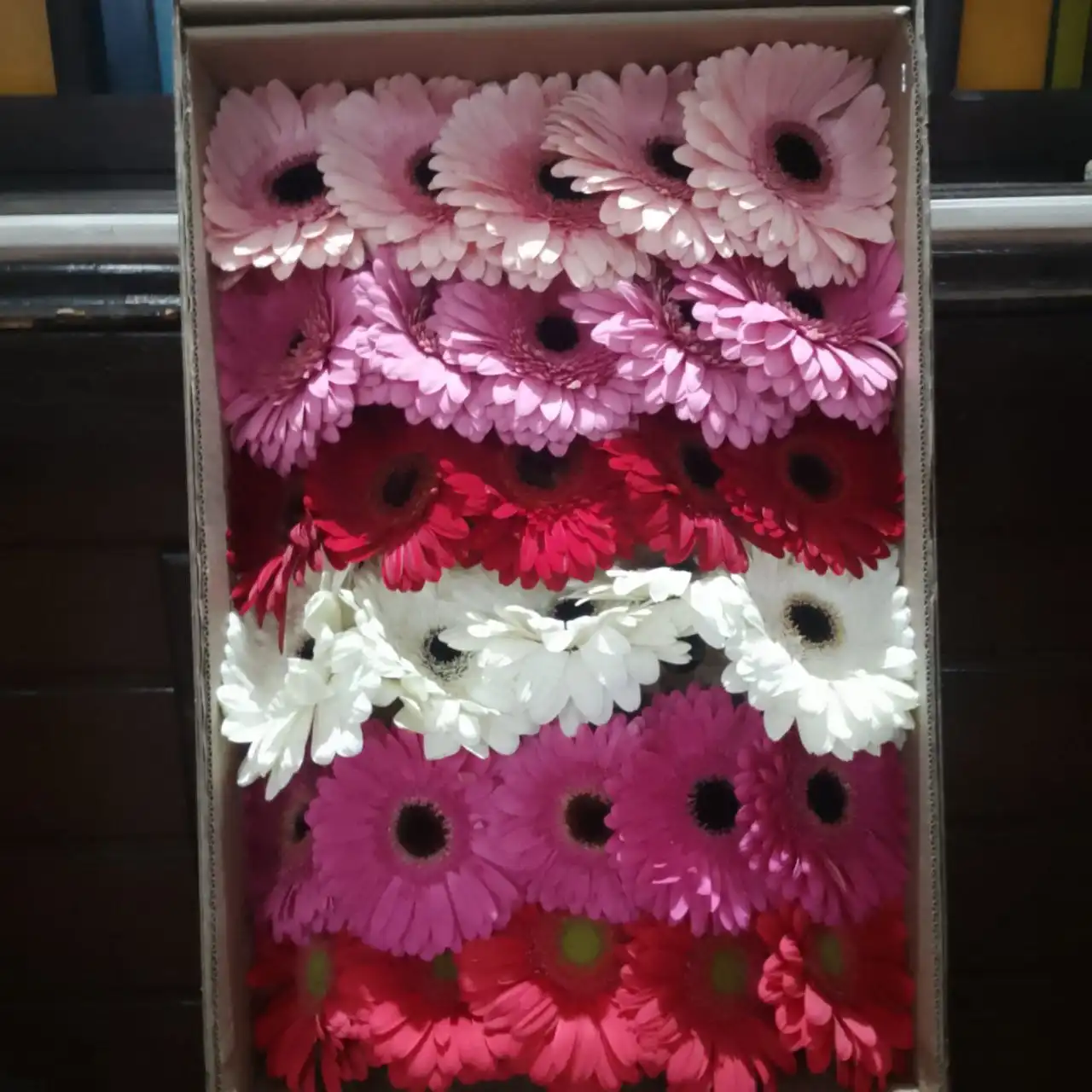 Оптовая продажа цветов в Саратове