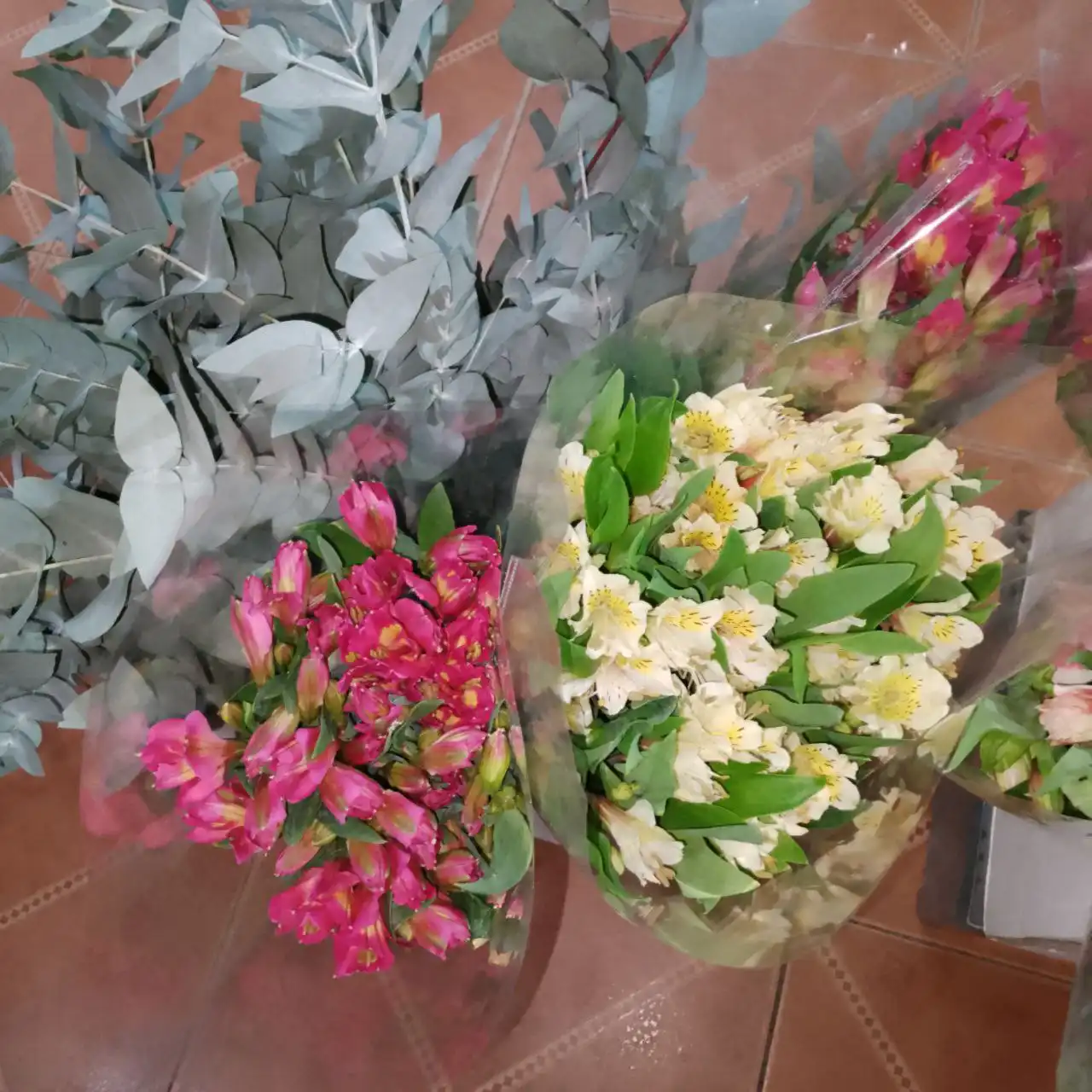 Оптовая продажа цветов в Саратове