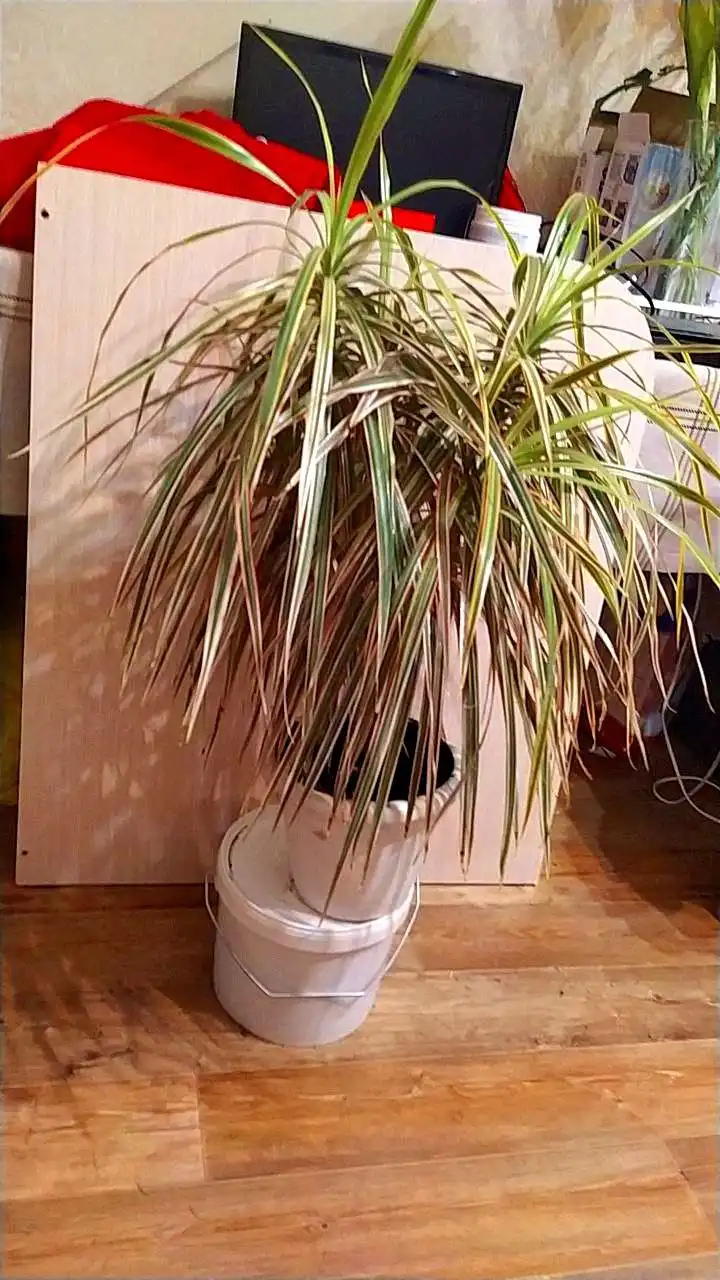 Продам Пос солнечный