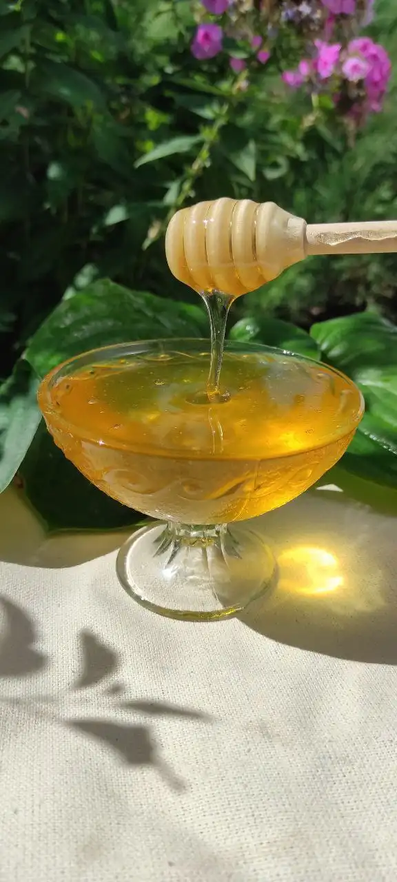Мёд с личной пасеки лесное и луговое разнотравье