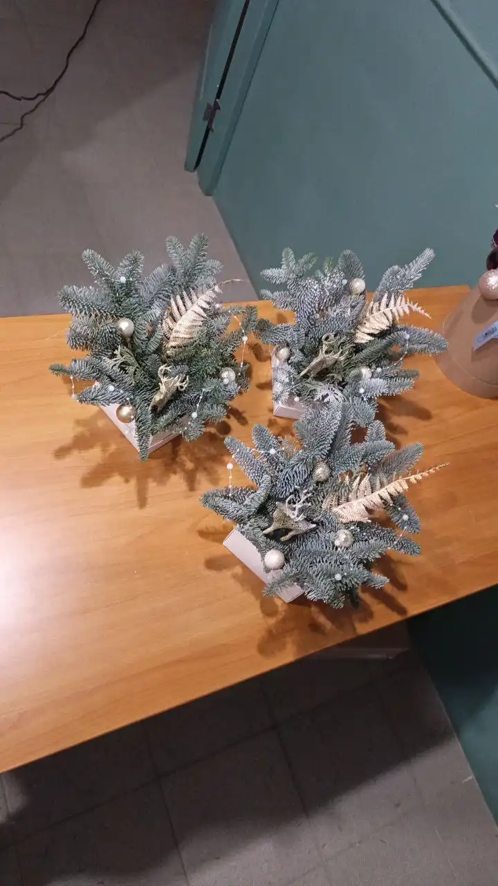 Новогодние композиции из нобилиса