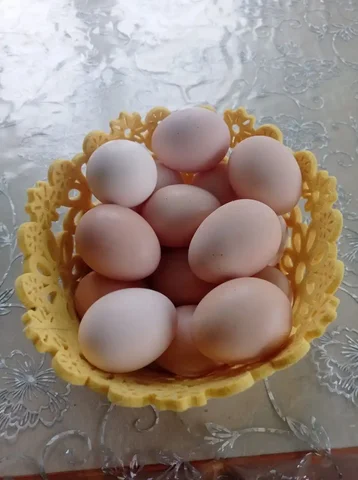 Продажа домашних куриных яиц в поселке Новосоколовогорский - частное объявление в Новосоколовогорский