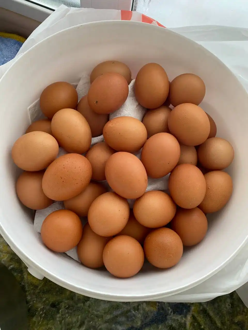 Домашние яйца - Продукты питания (Барахолка) в Саратов