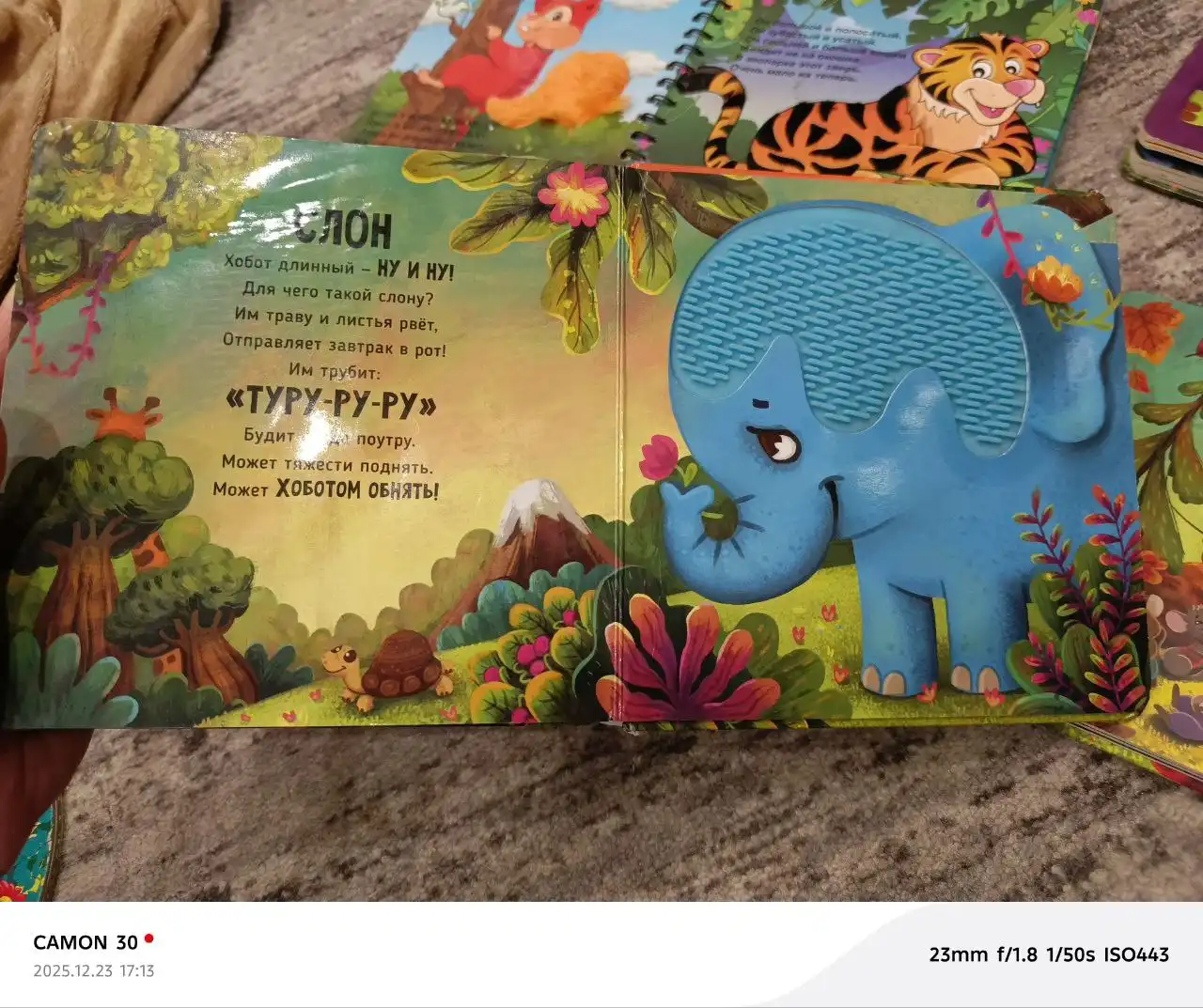 Тактильные книжки в хорошем состоянии - Барахолка в Саратов