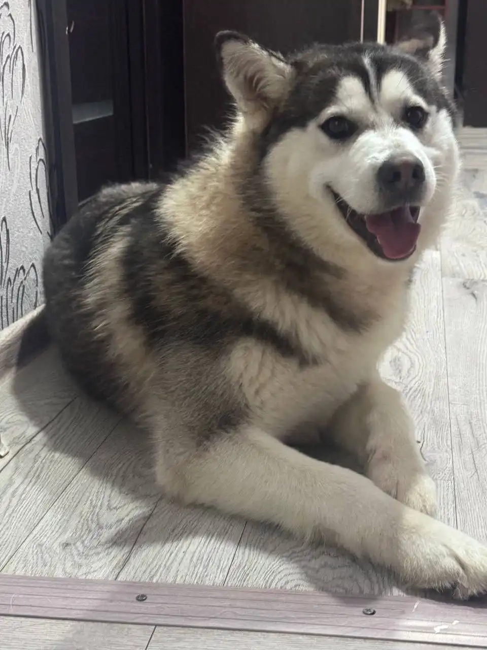 Предложение товара в Барахолке Юбилейного - Барахолка в Саратов