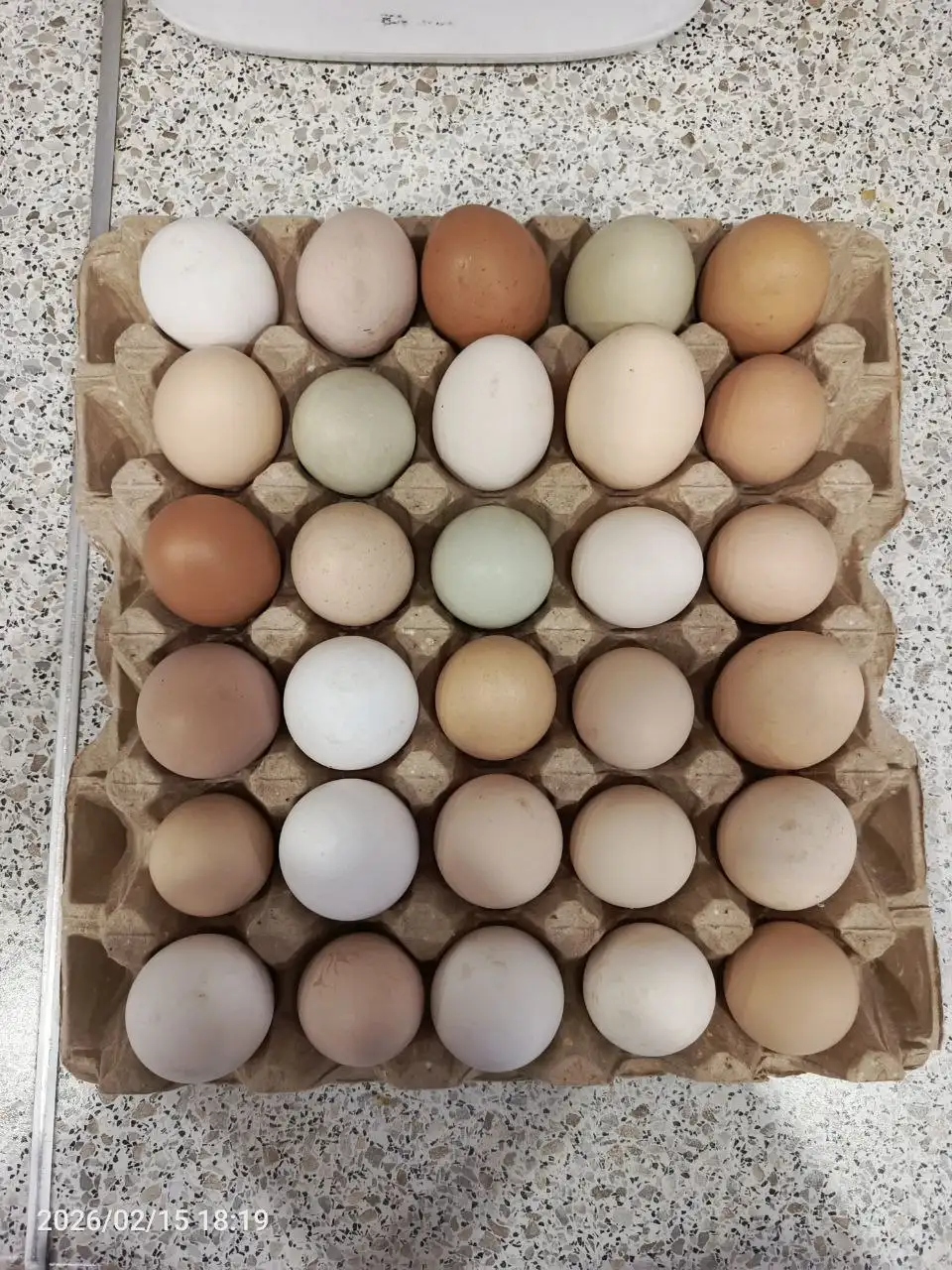 Продам домашние яйца - Барахолка в Саратов