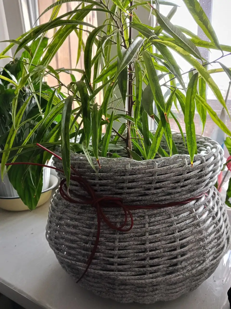 Кашпо из искусственного ротанга для дома и дачи - Для дома и дачи в Саратов