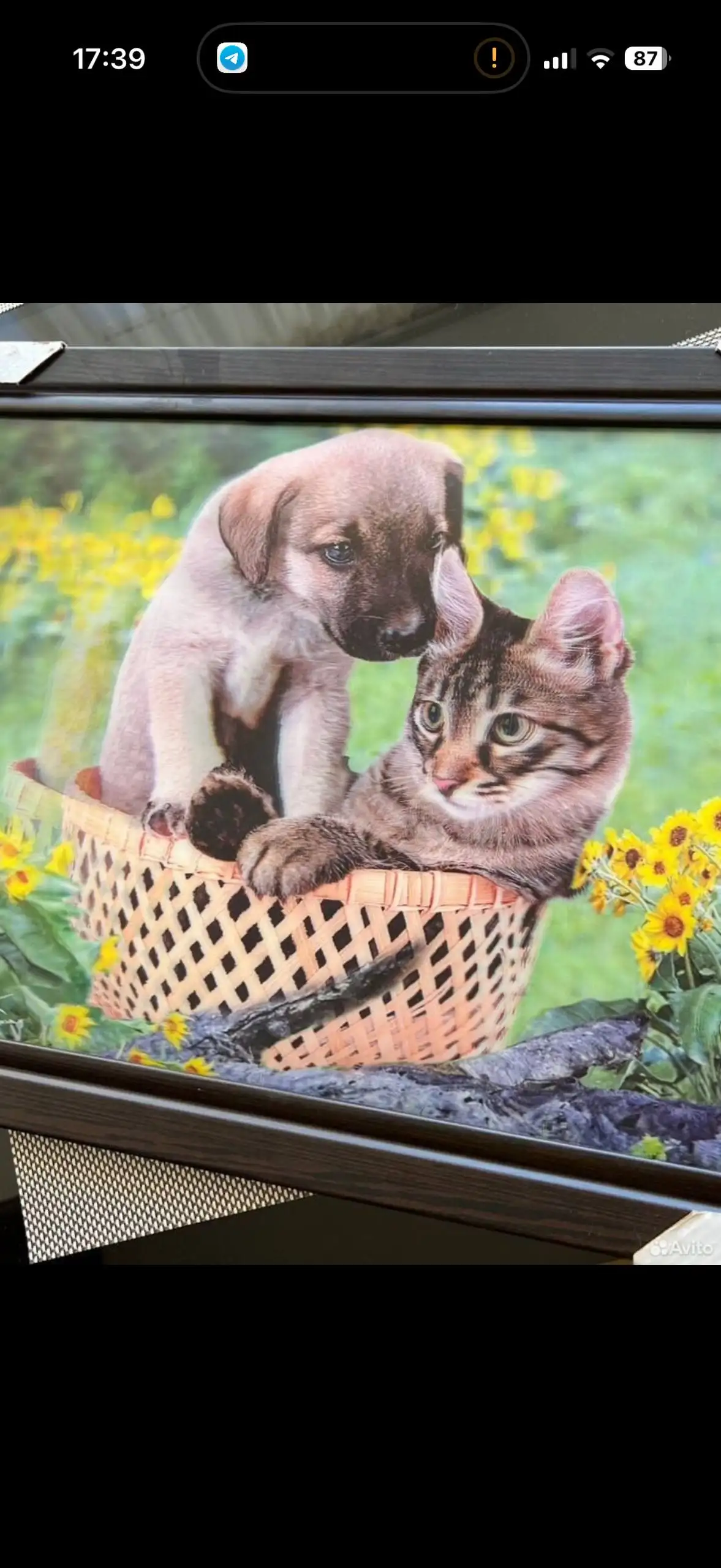 Картина голографическая 30/40 - Барахолка в Саратов