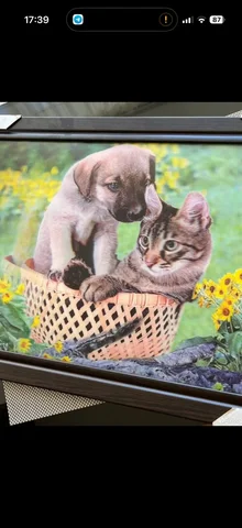 Картина голографическая 30/40 - Кухонные принадлежности в Саратов