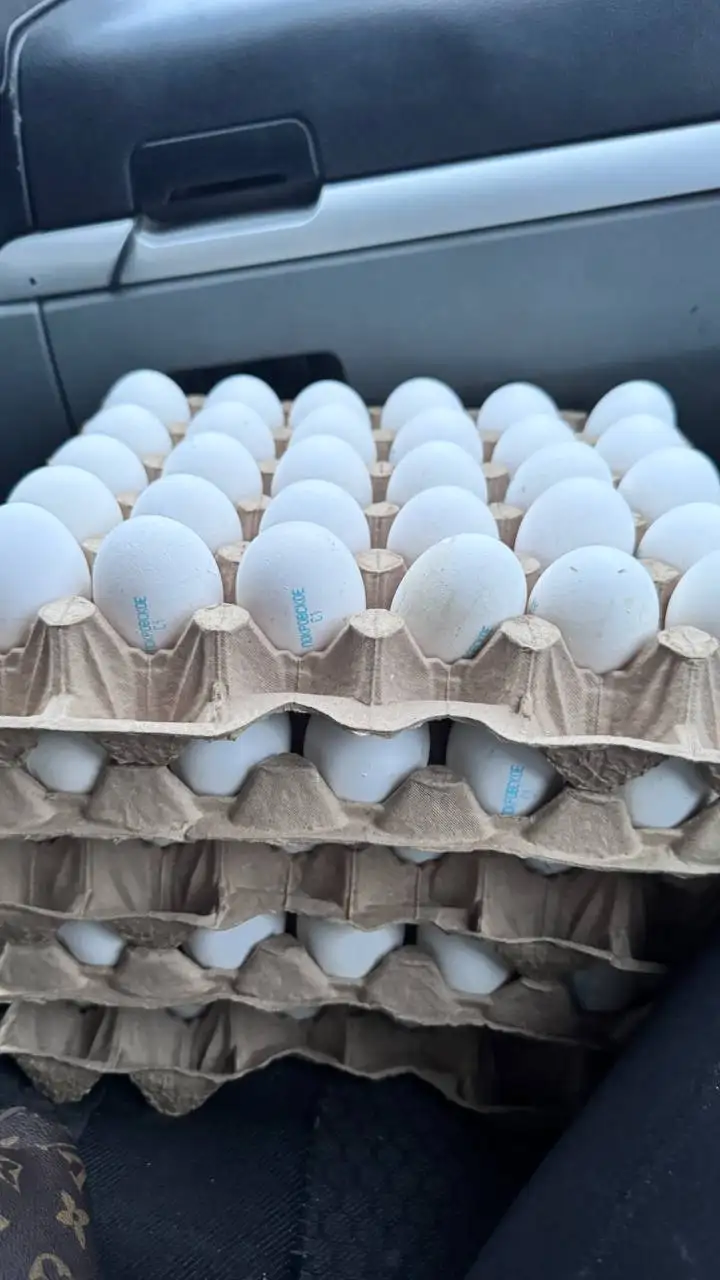 Свежие яйца С1 на Пасху - Барахолка в Саратов