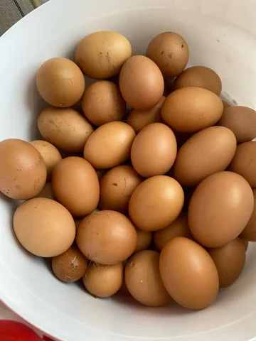 Деревенское яйцо - Мебель для детей в Саратов