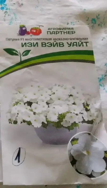 Продажа остатков петуньи - null (Растения) в Саратов