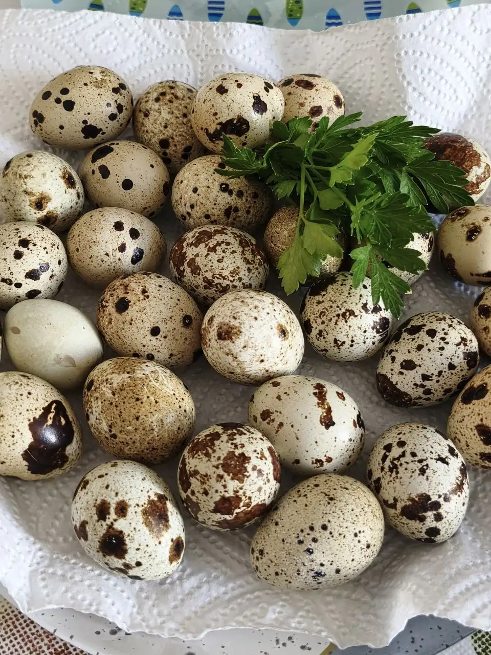 Продаю перепелиные яйца - Продукты питания (Для дома и дачи) в Саратов