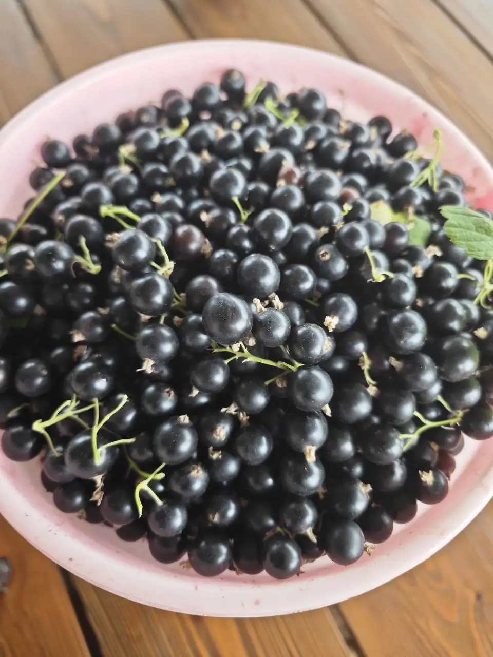Черная смородина, 450 руб/кг - Продукты питания (Барахолка) в Саратов