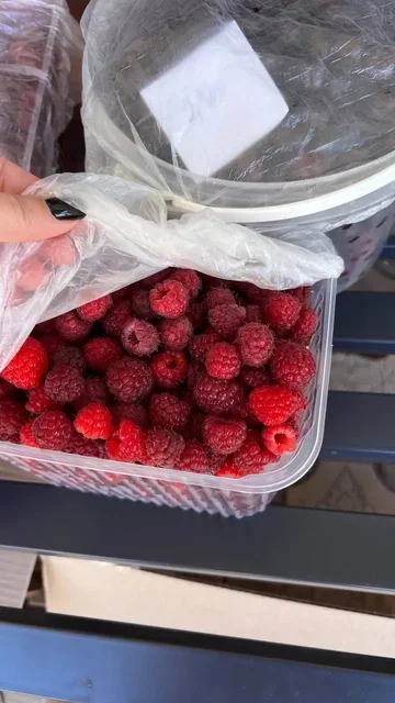 Свежие малина и вишня из деревни - Продукты в Саратов