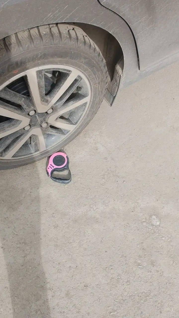 Потерянная домашняя собака в Иркутске - Потерянные/Найденные (Животные) в Иркутск