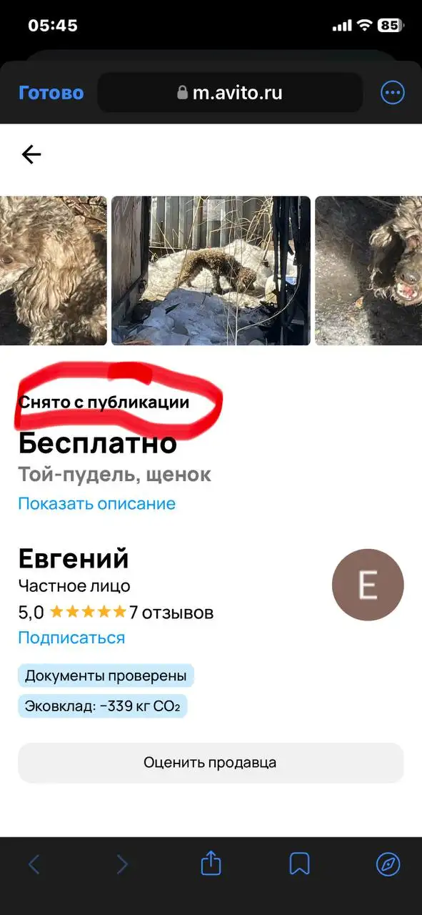 ПОТЕРЯШКА ИРКУТСК ЖИВОТНЫЕ - Потерянные животные (Животные) в Иркутск