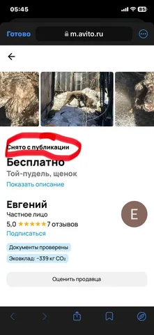 ПОТЕРЯШКА ИРКУТСК ЖИВОТНЫЕ - Найденные животные в Иркутск