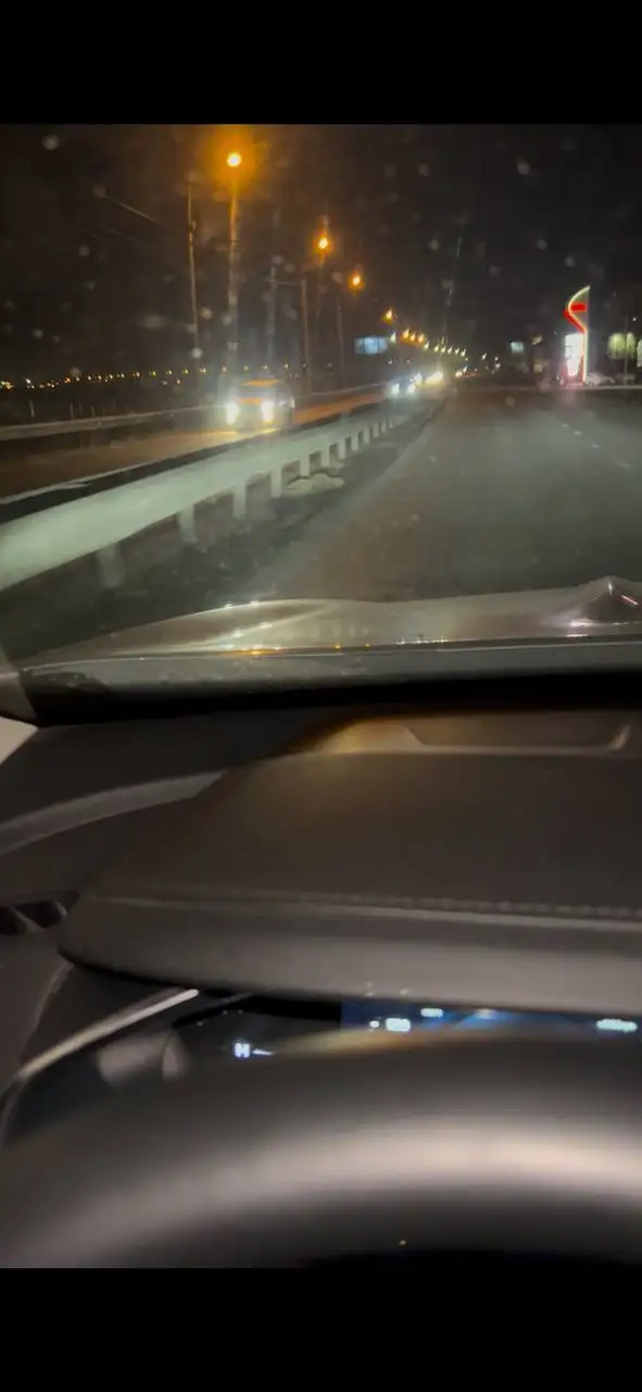 Потерянная собака на Сурнова в Иркутске - Животные в Иркутск