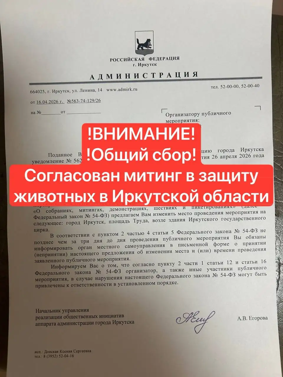 Митинг в защиту животных в Иркутске - Животные в Иркутск