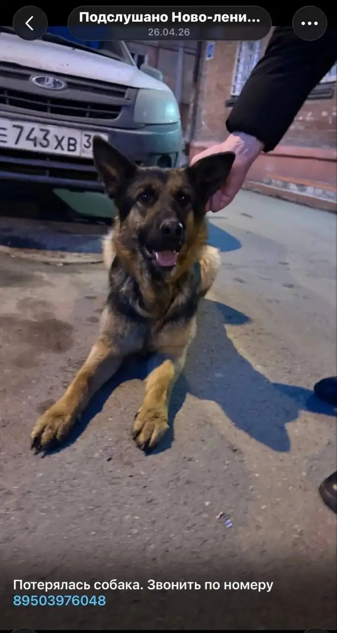 НЛО - Животные в Иркутск