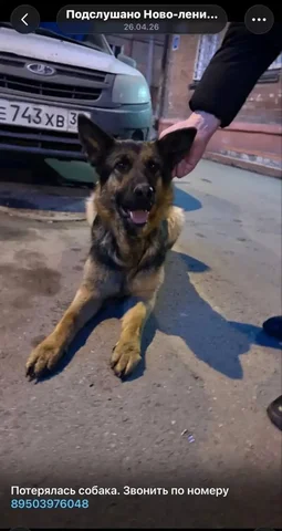 НЛО - Животные в Иркутск