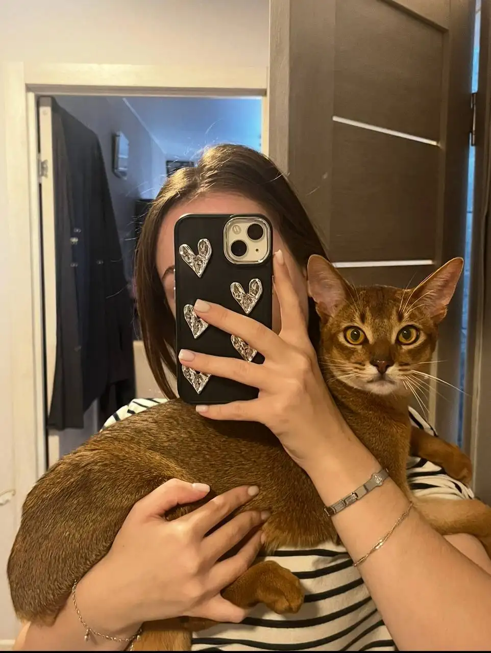 Пропал кот в Грановщине - Потеряшки (Животные) в Грановщина