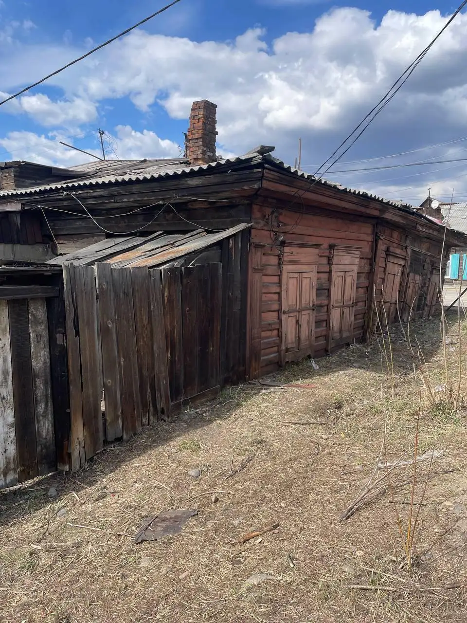 Помощь котам в заброшенном доме - Животные в Иркутск