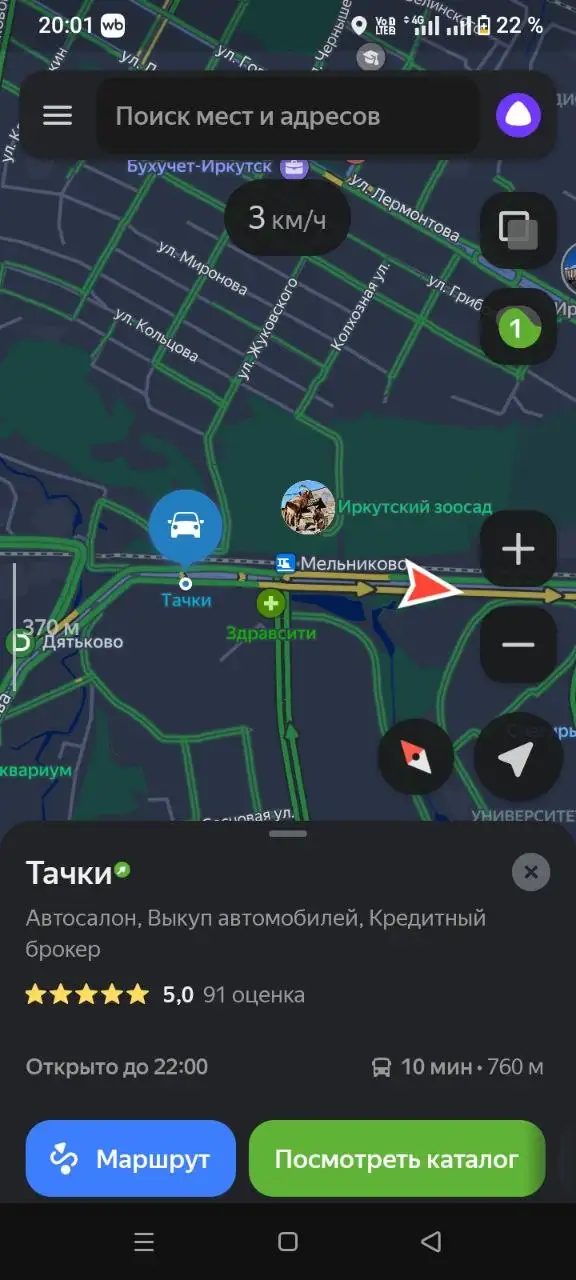 Найдены собаки около автосалона в Иркутске - Животные в Иркутск