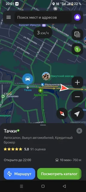 Найдены собаки около автосалона в Иркутске - Поиск животных в Иркутск