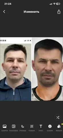 Потеряшка кошка в Иркутске - частное объявление в Иркутск