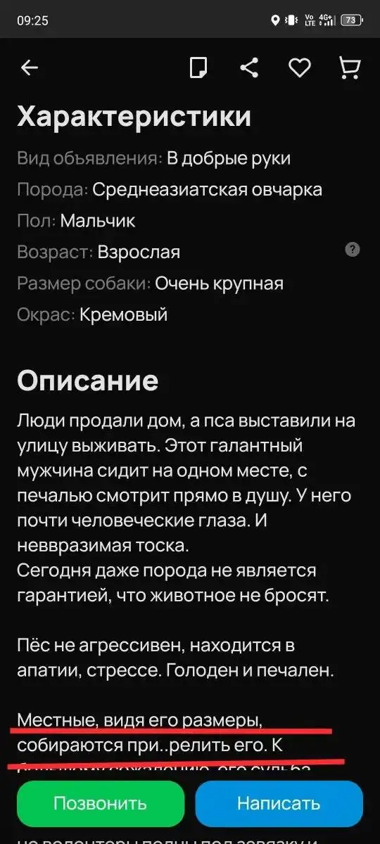 Срочная передержка для брошенного красавца в Ангарске - Передержка (Животные) в Ангарск