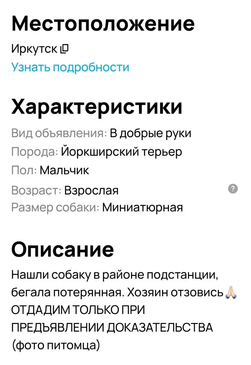 Потеряшка в Иркутске: Йоркширский терьер - Собаки (Животные) в Иркутск