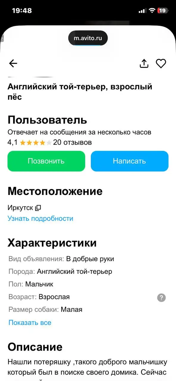 Потеряшка англиский той-терьер ищет дом - Собаки (Животные) в Иркутск