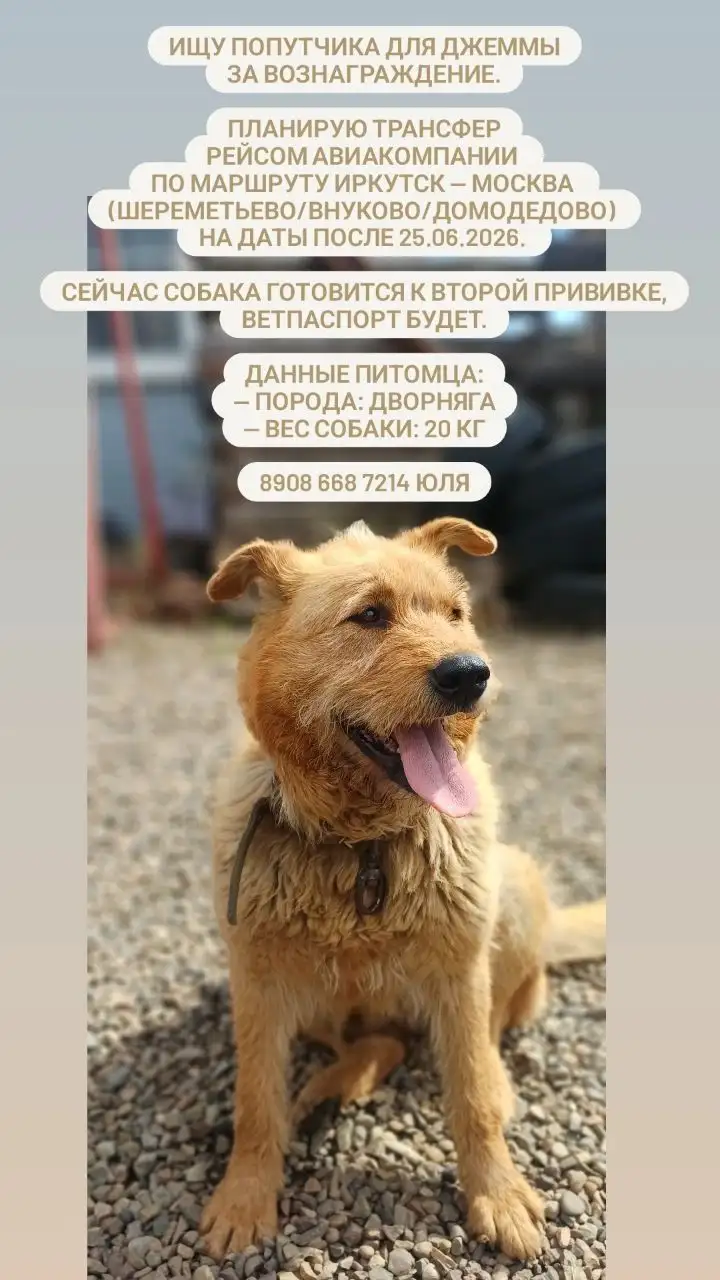 Попутчик из Иркутска в Москву - Попутчики (Услуги) в Иркутск