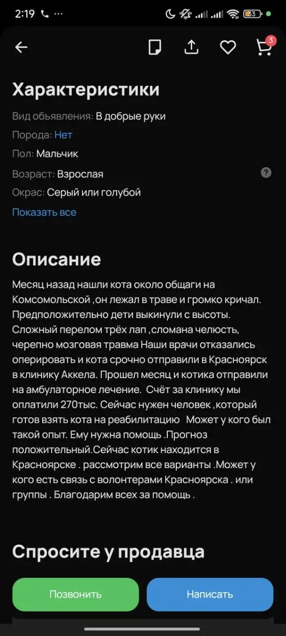 Взрослый кот в добрые руки - Кошки (Животные) в Красноярск