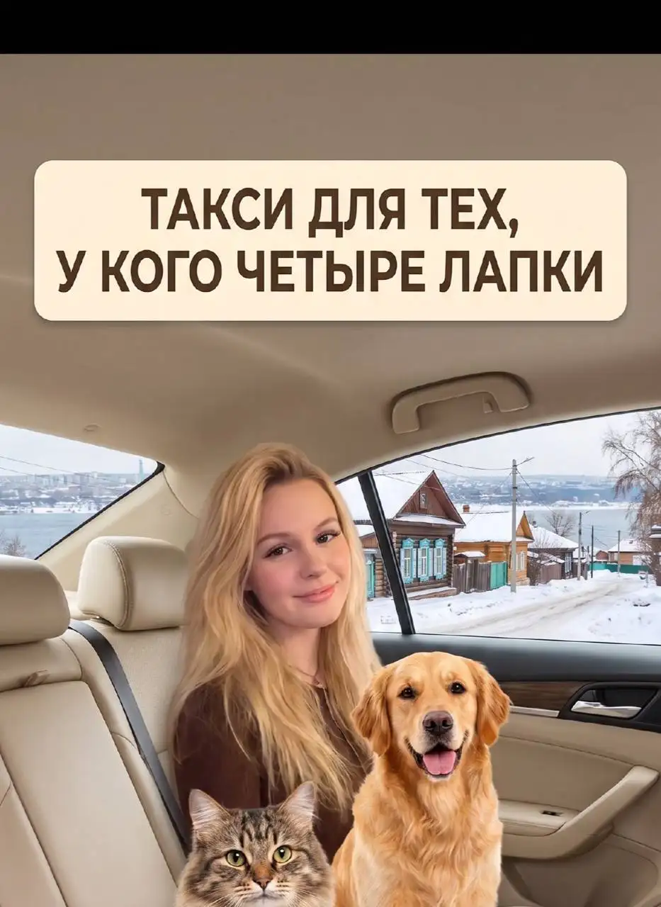 Зоотакси Иркутск - Транспортные услуги (Услуги) в Иркутск