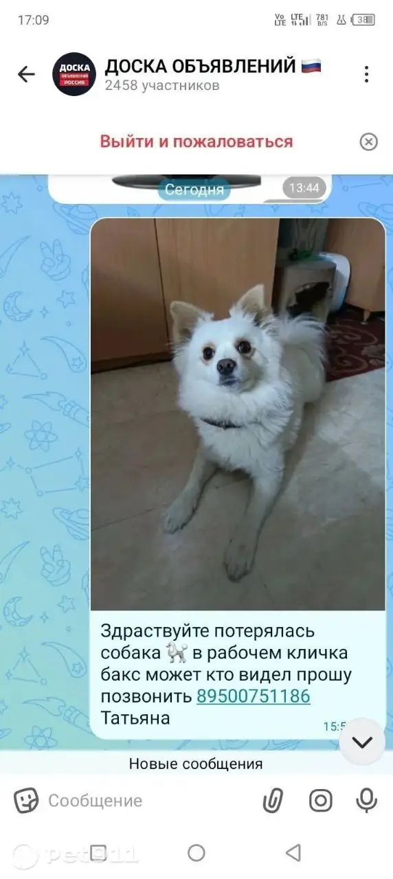 Пропала собака, ищем хозяев - Животные в Иркутск