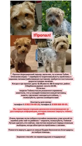 Потеряшка: собака - Одежда для животных в Ангарск