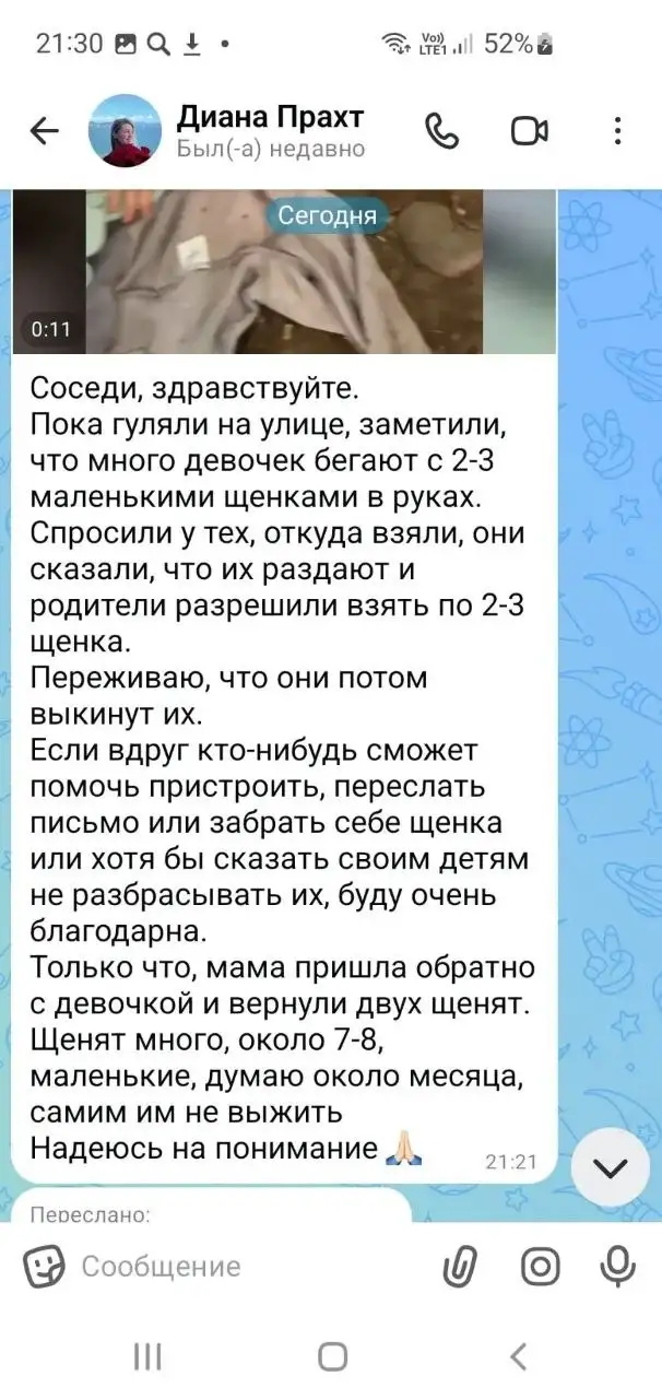 Экстренная передача щенков - Бесплатно (Животные) в Иркутск