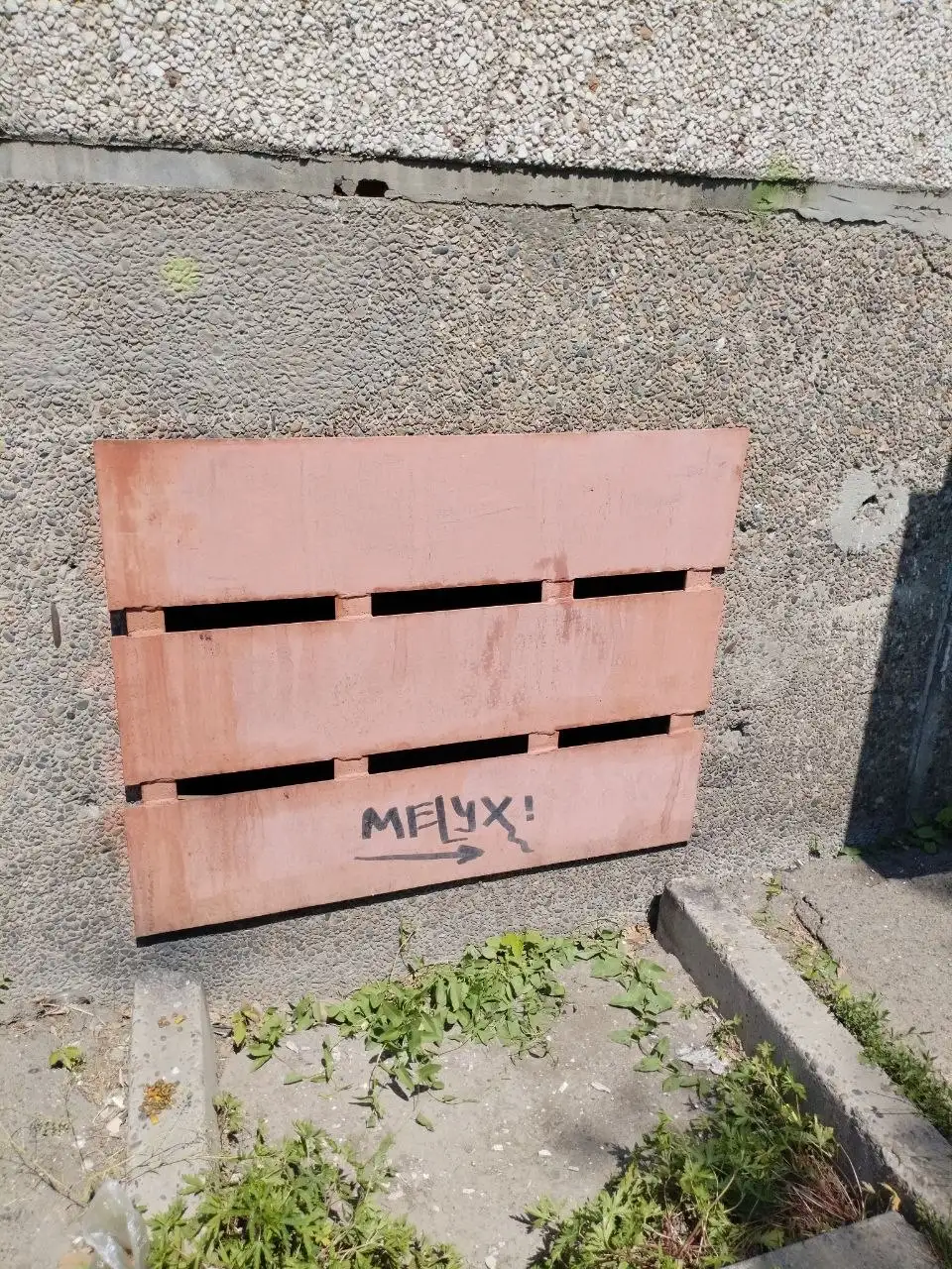 Три котенка в подвале по ул. Ярославского - Животные в Иркутск