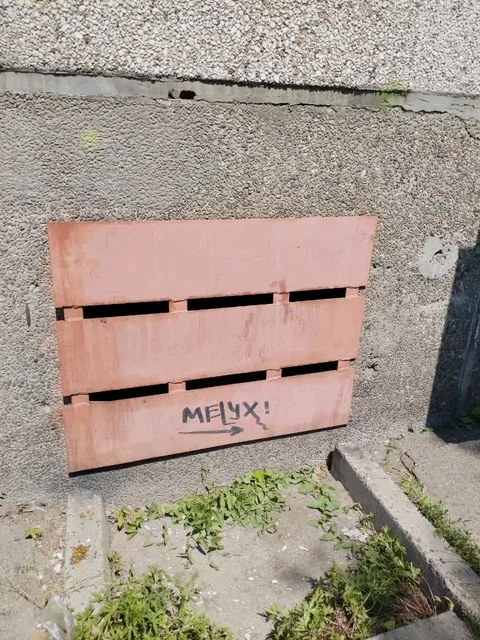 Три котенка в подвале по ул. Ярославского - Потеря животных в Иркутск