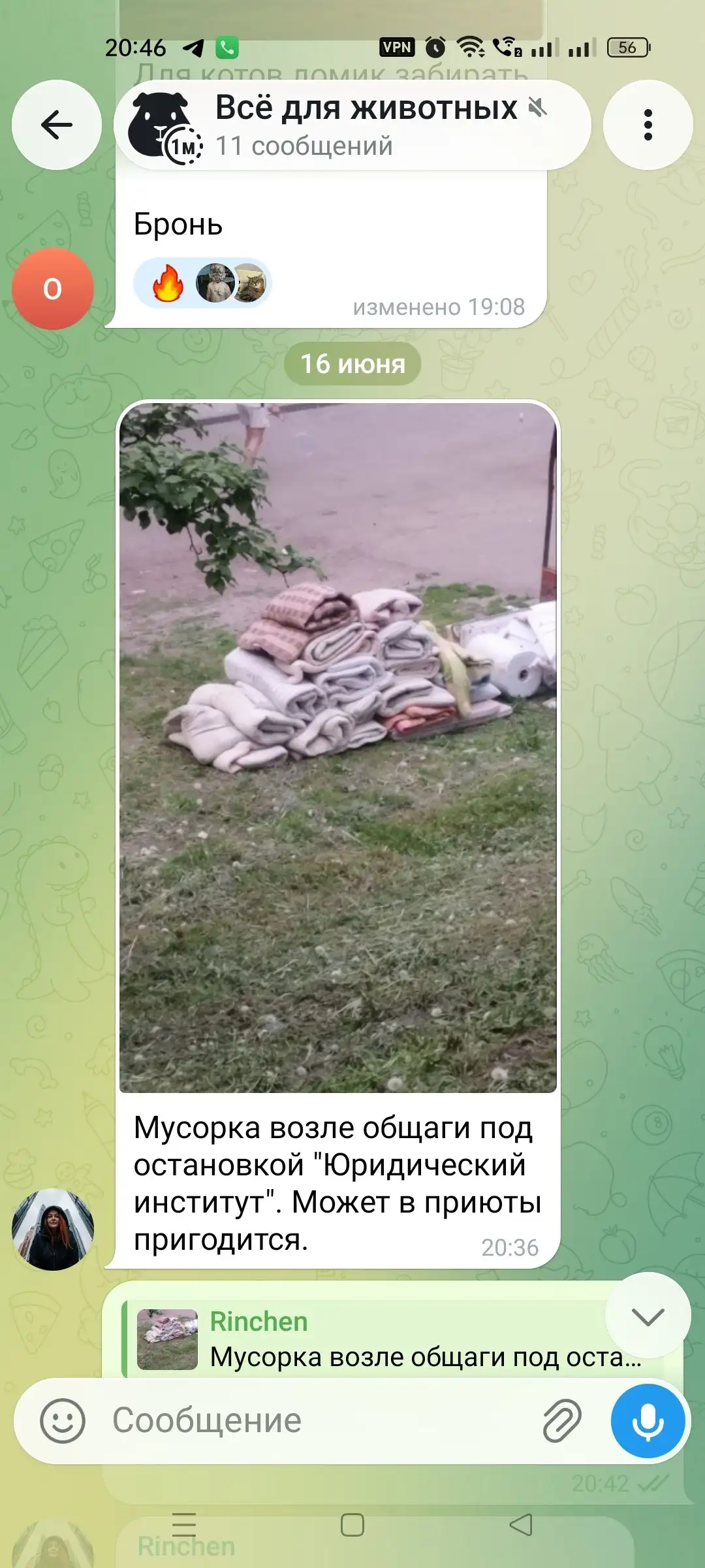 Потеряшка из Иркутска - Животные в Иркутск